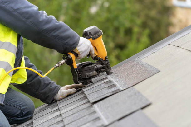 Best Roof Insulation Installation  in Volo, IL