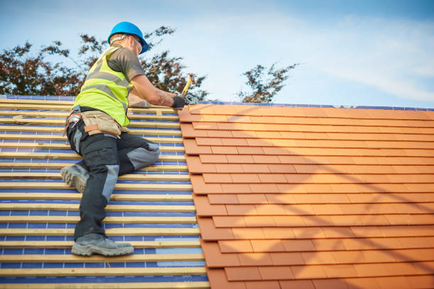 Best 4 Ply Roofing  in Volo, IL